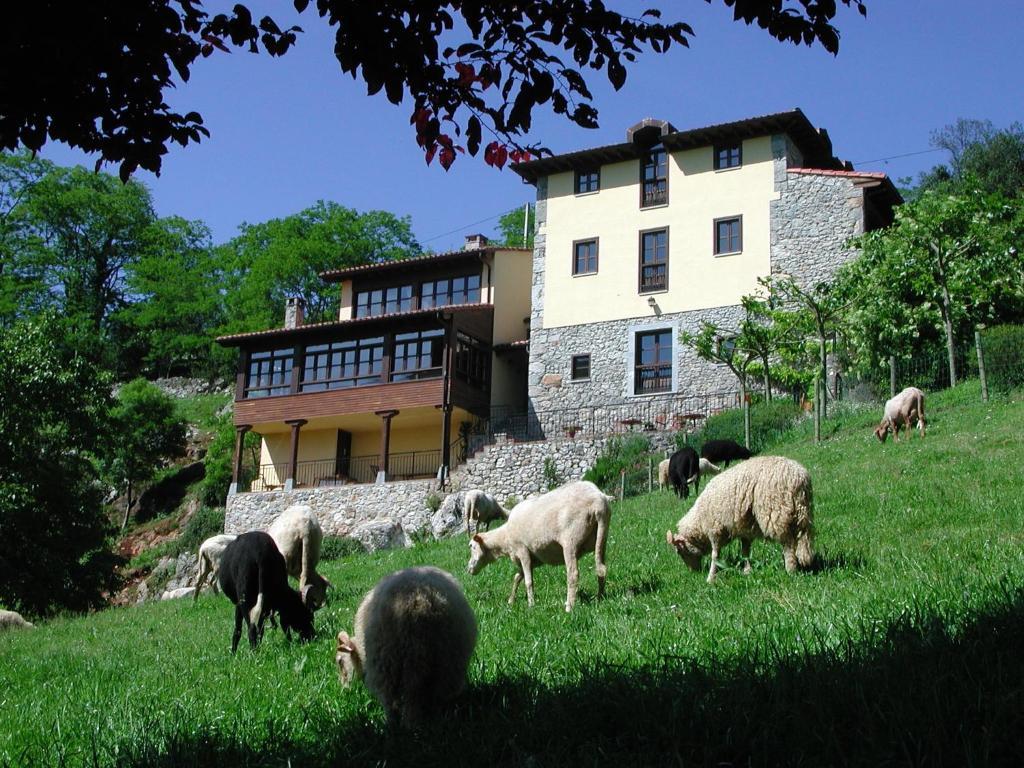 Hotel Posada del Valle Collía Exterior foto