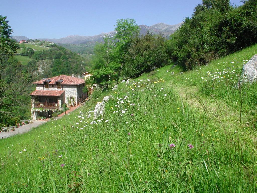 Hotel Posada del Valle Collía Exterior foto
